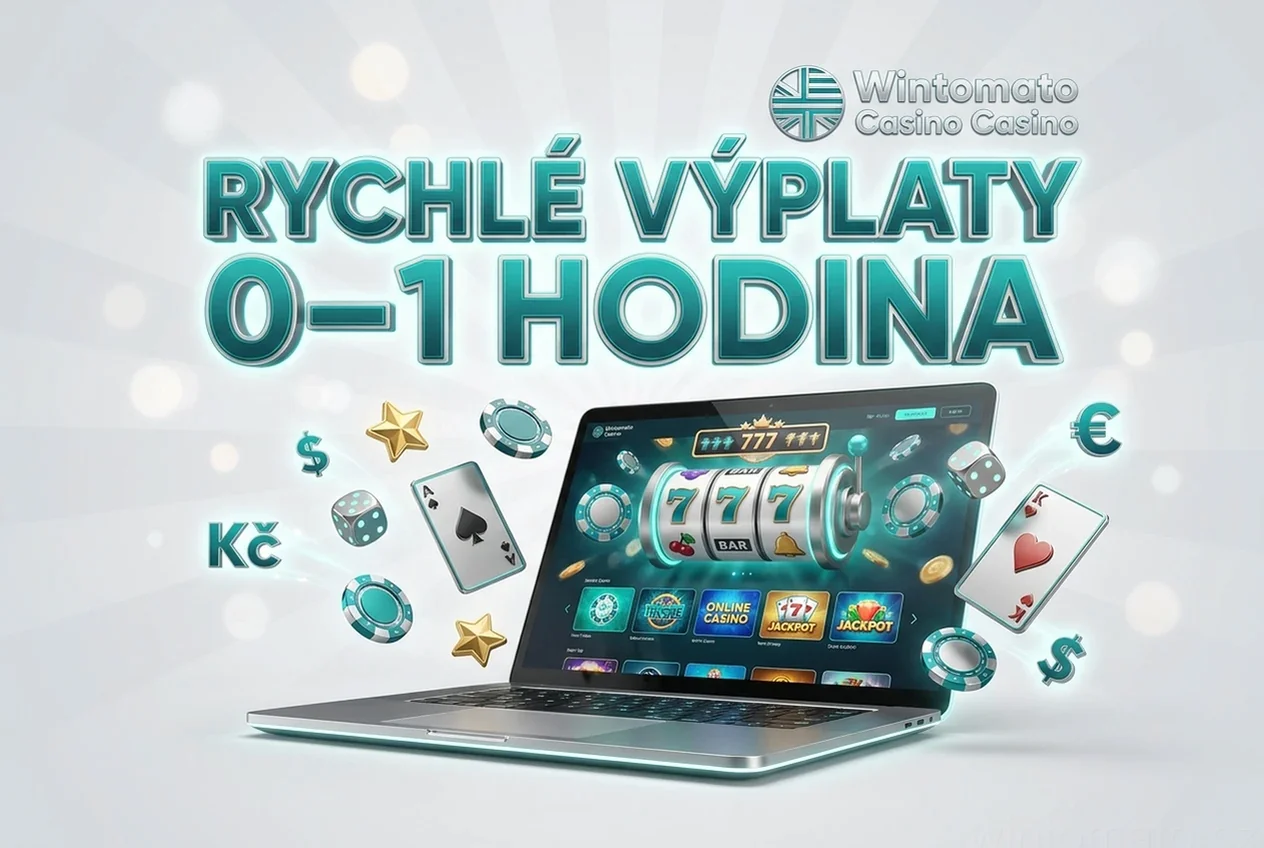 RYCHLÉ VÝPLATY0–1 HODINA
